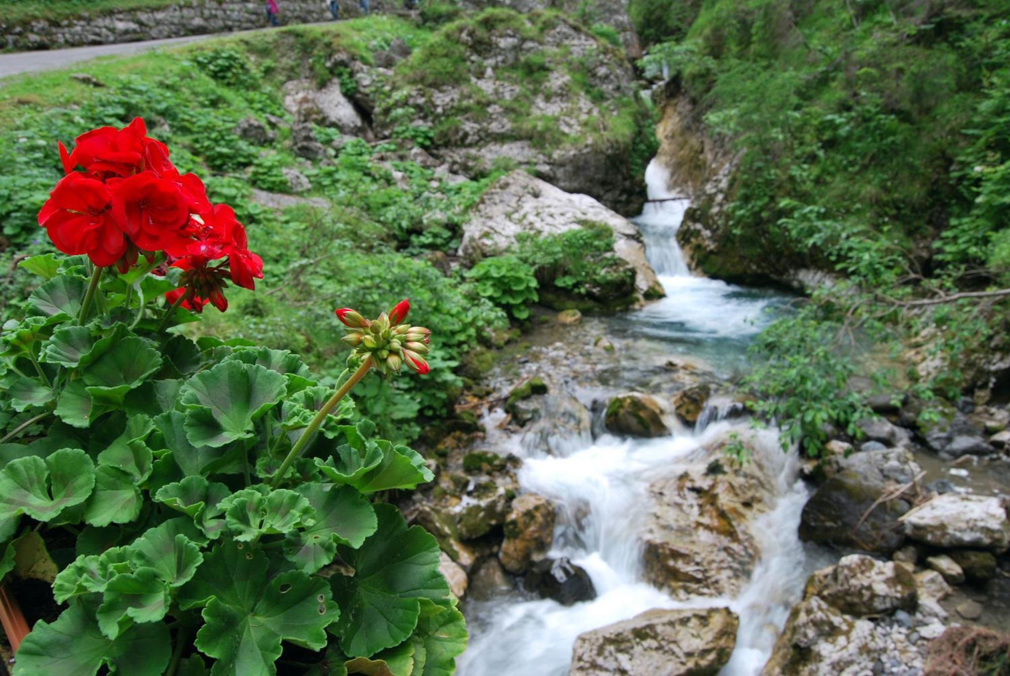 Dolomitissime Holiday Homes Marmolada Rocca Pietore Buitenkant foto